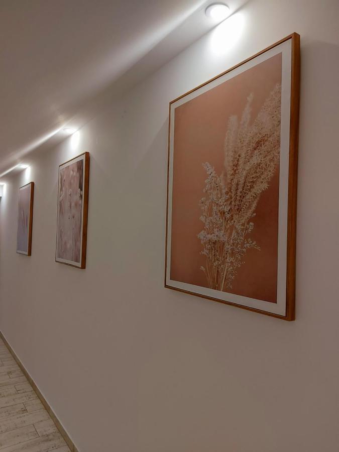 Akácos Tanya és Vendégház Marok Extérieur photo